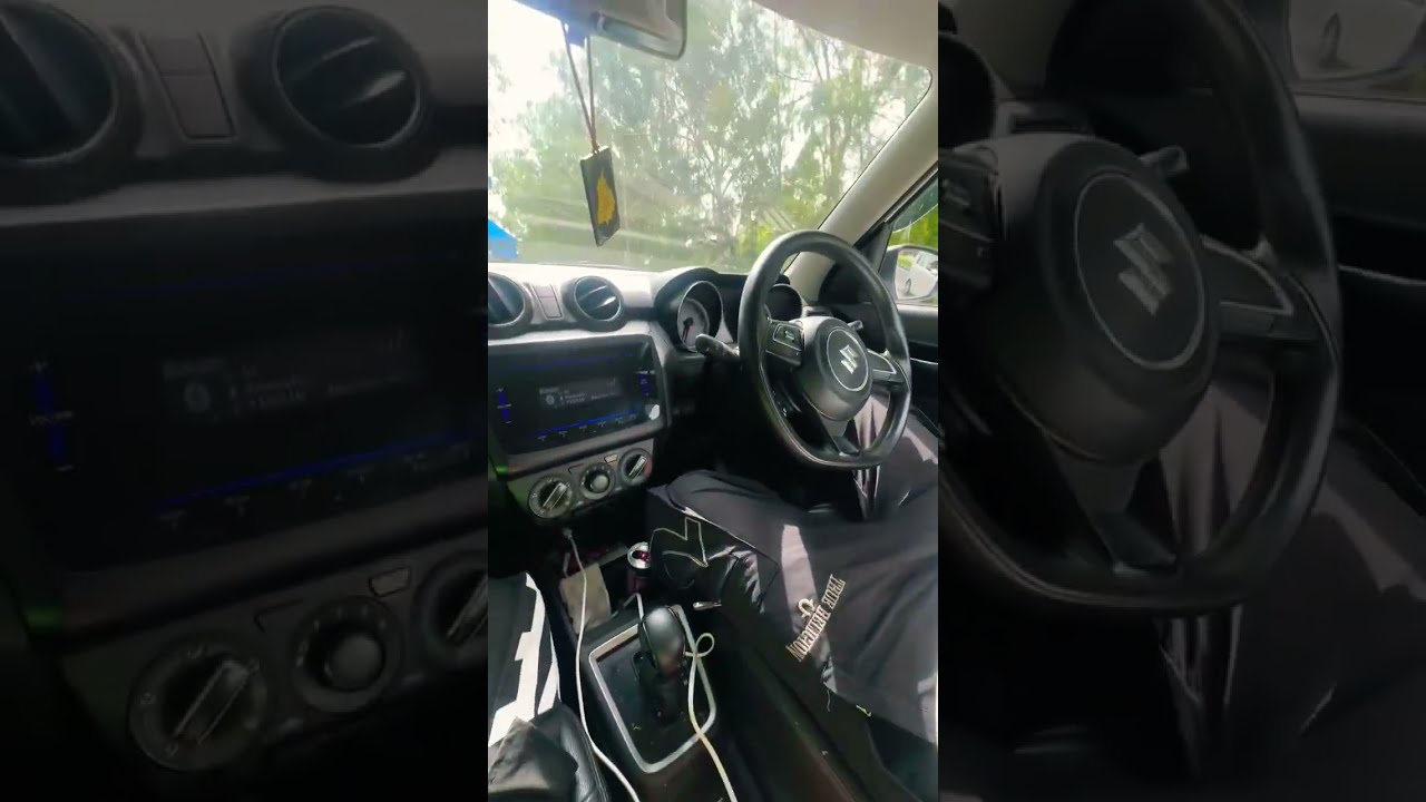 Tesla Auto Drive Feature In Maruti Swift 