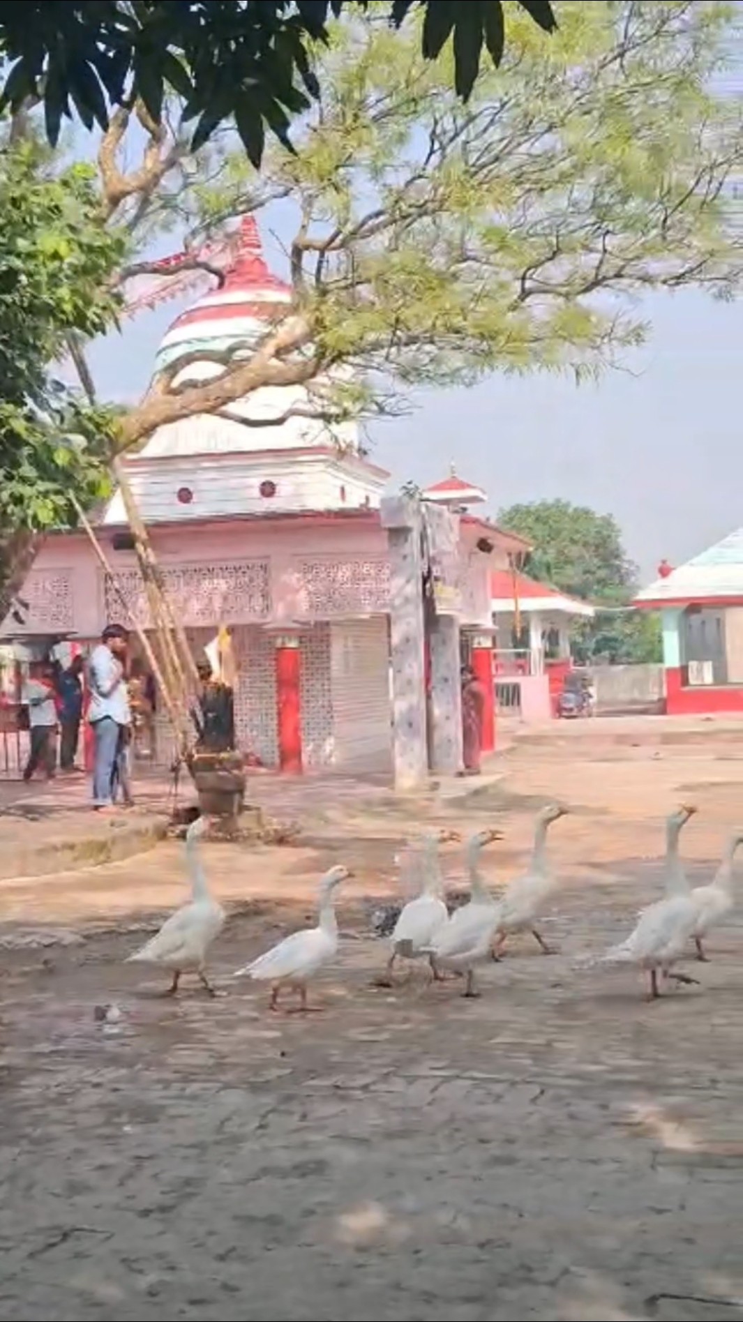 🙏रोजाना भक्ति स्टेट्स - ShareChat