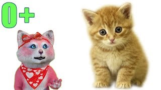 Домашние животные - карточки для детей (0+) - Няша Мурмяша Домашние животные - карточки для детей (0+) - Няша Мурмяша