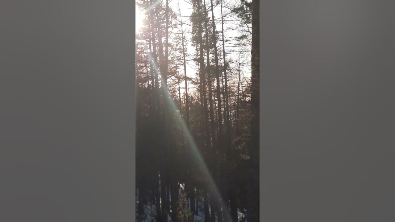 Сараана - YouTube