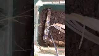 Master valve installation part 1