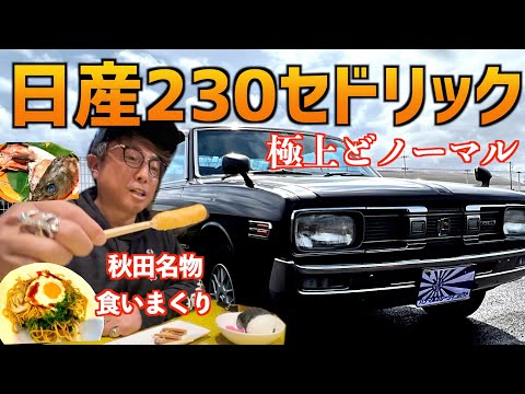 230セドリック　グリル　昭和当時物　L型⭐︎希少 230セドリック グリル 昭和当時物 L型⭐︎希少 230セドリック