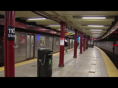 مرد برهنه در حمله ای بی دلیل در مترو دچار برق گرفتگی شد 