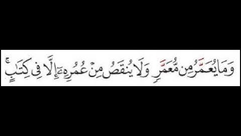 سورة فاطر الآية 11