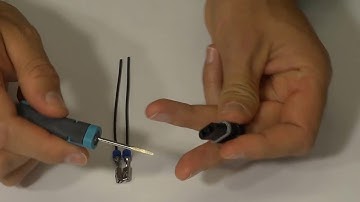 TE Insertion Extraction Unlocking Video