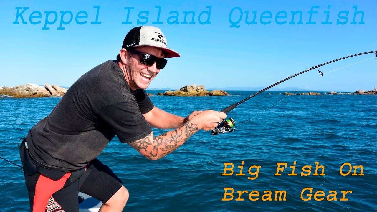 Keppel Island Fishing Queenfish on Bream gear.. Huge fish on light