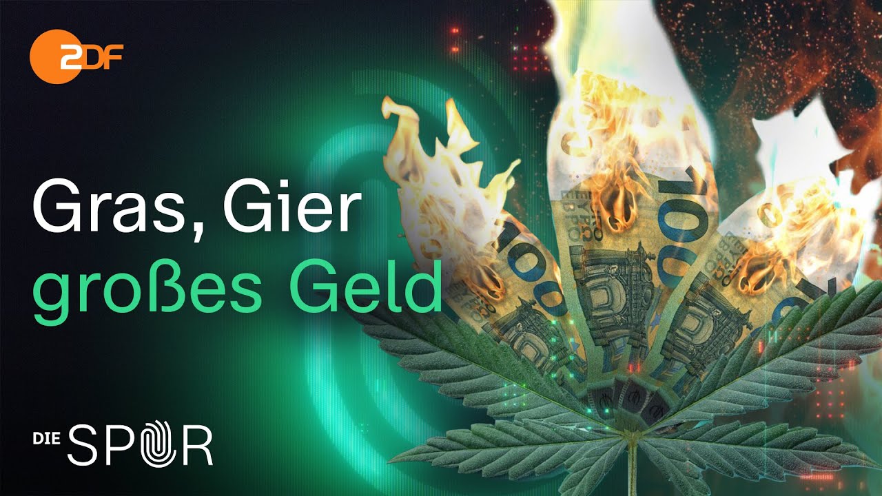 JuicyFields – Der größte Cannabis-Betrug aller Zeiten | Die Spur
