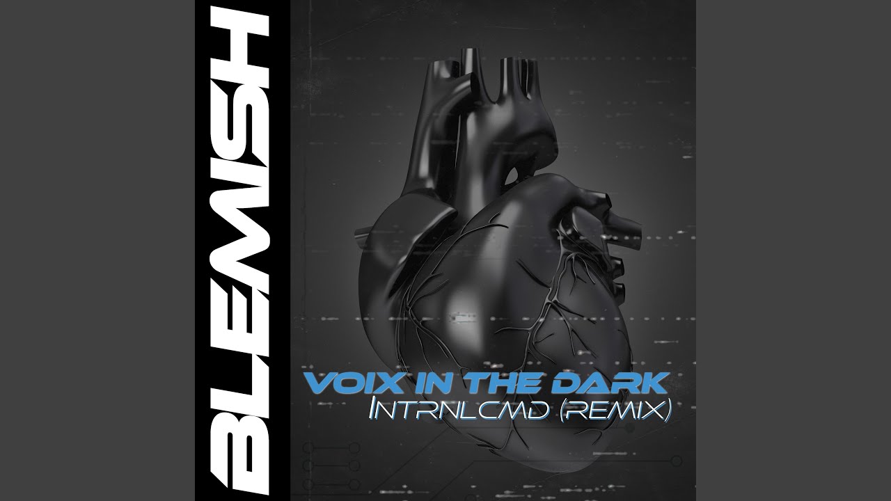 Blemish (INTRNLCMD Remix)