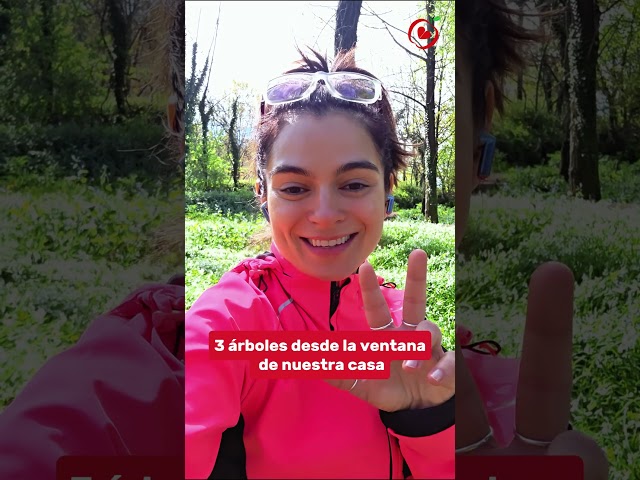 🌳🌿🚶‍♀️La regla del 3-30-300