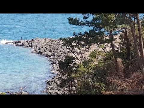 예촌망