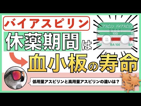 バイアスピリン（アスピリン）の知っておきたいこと【3選】