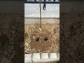 Using a garden auger drill bit to effortlessly create clean planting holes
