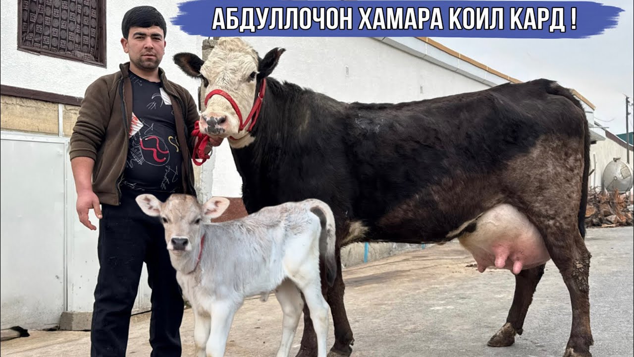 МОЛХОИ АБДУЛЛОЧОН БО НАРХИ ХЕЛЕ АРЗОН 24 февраля 2026 г.