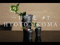 一日一花　#7