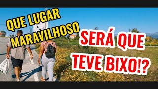 PASSEIO PELO NOSSA CIDADE, TUOR PELA NOSSA CASA [+10]