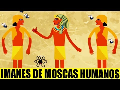 Video: Antiguas Costumbres Y Tradiciones De Egipto