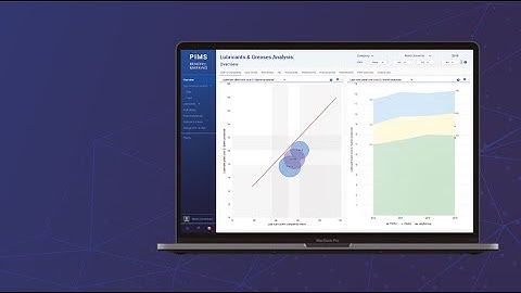 PIMS Operational Excellence Analytics Platform