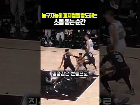농구지능이 피지컬을 압도하는 소름 돋는 순간