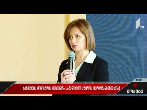 ჯანდაცვის მინისტრის შეხვედრა სამედიცინო სფეროს წარმომადგენლებთან