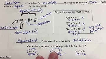 Determine if Values Make an Equation True