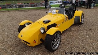 Tiger Cat E1