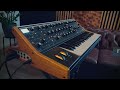 Moog Subsequent 37 | Cinematic Ambient