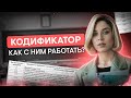 Как работать с кодификатором ЕГЭ по обществознанию? | Оля Вебер | ЕГЭ 2024 | SMITUP