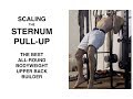 How To Scale Gironda Sternum Pull Ups, The King of Bodyweight Upper Back Exercises