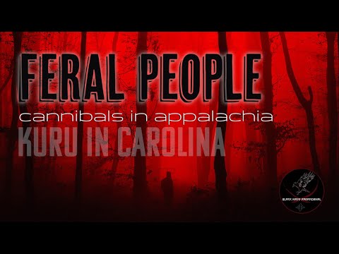 I went searching for FERAL PEOPLE deep in the North Carolina Mountains!