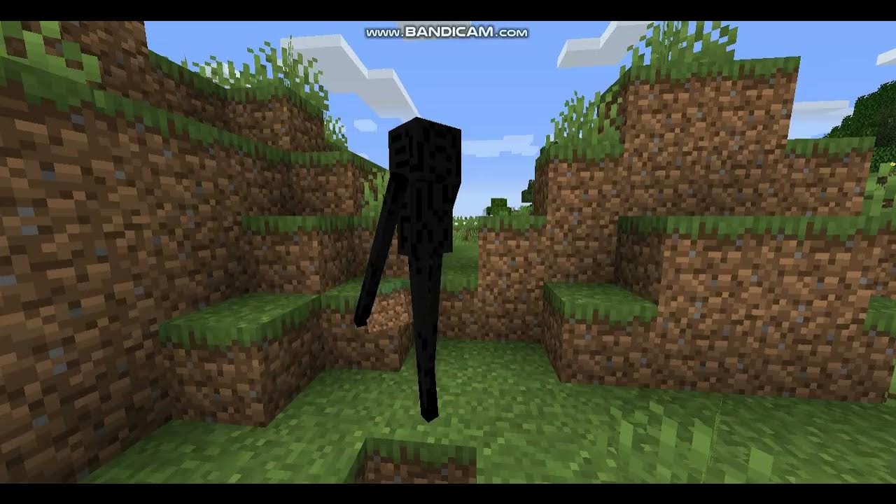 What does an Enderman see? YouTube