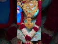 જય શ્રી સ્વામિનારાયણ #dharmkul #svg #shyam #love #song #lovemusic