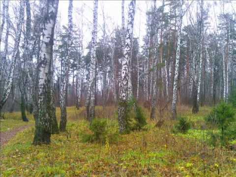 Такая разная осень