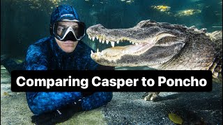Comparing Casper to Poncho