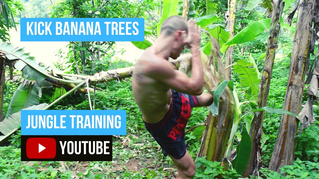 Kick banana trees 🍌👊 YouTube