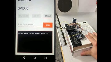 Distance Estimation Demo
