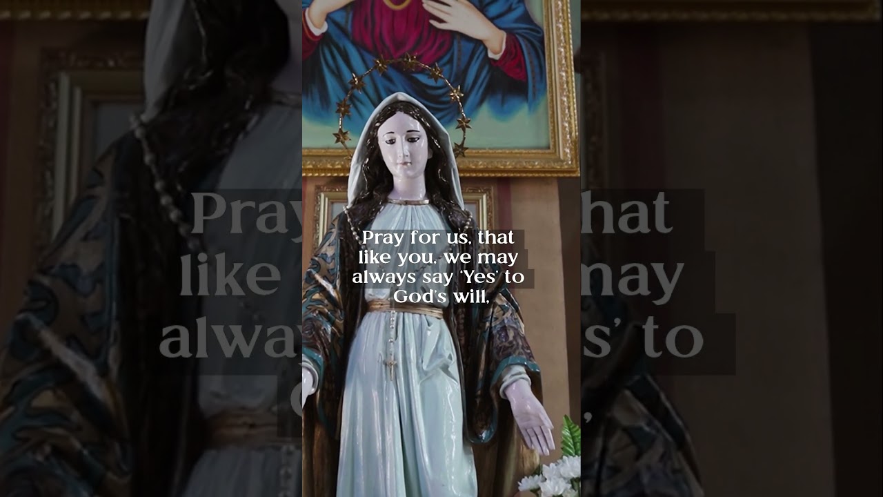 The Nativity of the Blessed Virgin Mary #catholicfeast #catholicfaith #marian #holymary #prayforus