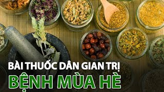 Các bài thuốc dân gian trị bệnh mùa hè | VTC14