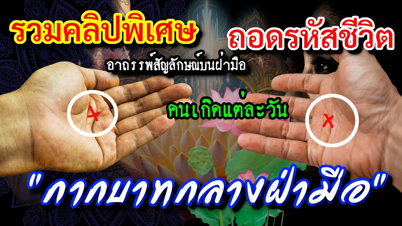 รวมคลิปพิเศษ ดูดวงลายมือ กากบาทบนฝ่ามือ คนที่มีกากบาทกลางฝ่ามือ อาถรรพ์ของคนเกิดแต่ละวัน ถอดหัสชีวิต