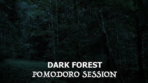 Pomodoro Technique - Study in the Dark Forest at Night | ASMR Study With Music Breaks | 25/5 Session