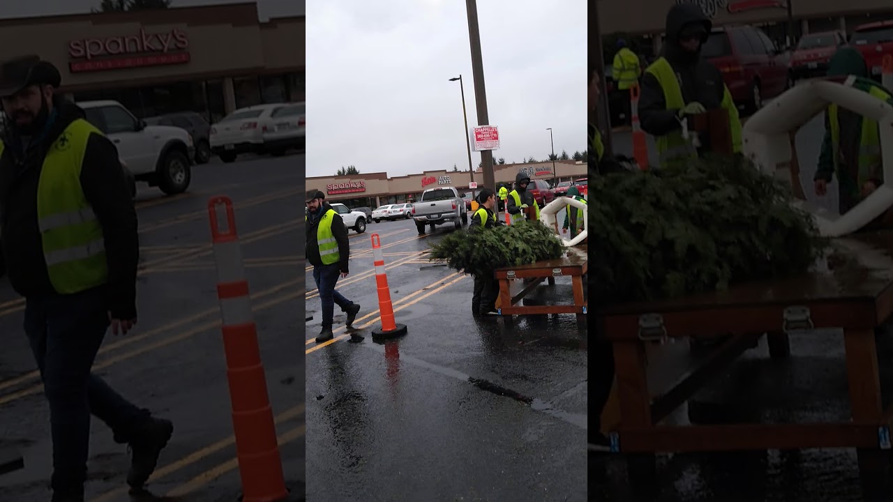 Our Christmas tree gets all roped and tighten up YouTube