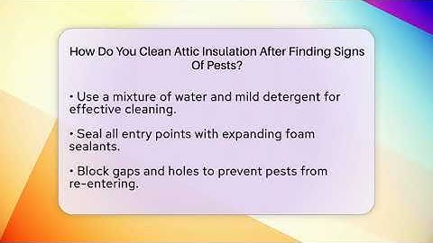 How Do You Clean Attic Insulation After Finding Signs Of Pests? - Insects and Invaders