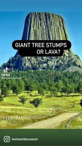 Were Giant Trees Once 3,000 ft. tall and is Devil's Tower a Gigantic Stump?