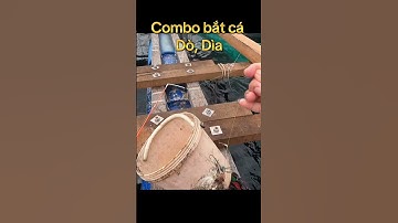 Câu cá dìa, dò #fishing