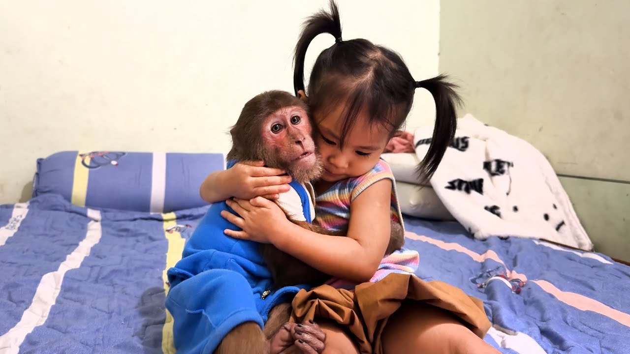 CUTIS does not want to leave Yen Nhi!