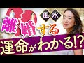 【最強の占い紫微斗数】離婚する星があるって本当？