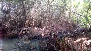 WP 20140322 026