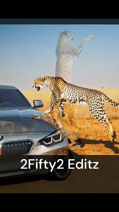 Cheetah's JUMP with BMW  (AI Genarated)#bmw #cheetah #motivation #automobile #animals  #wildlife