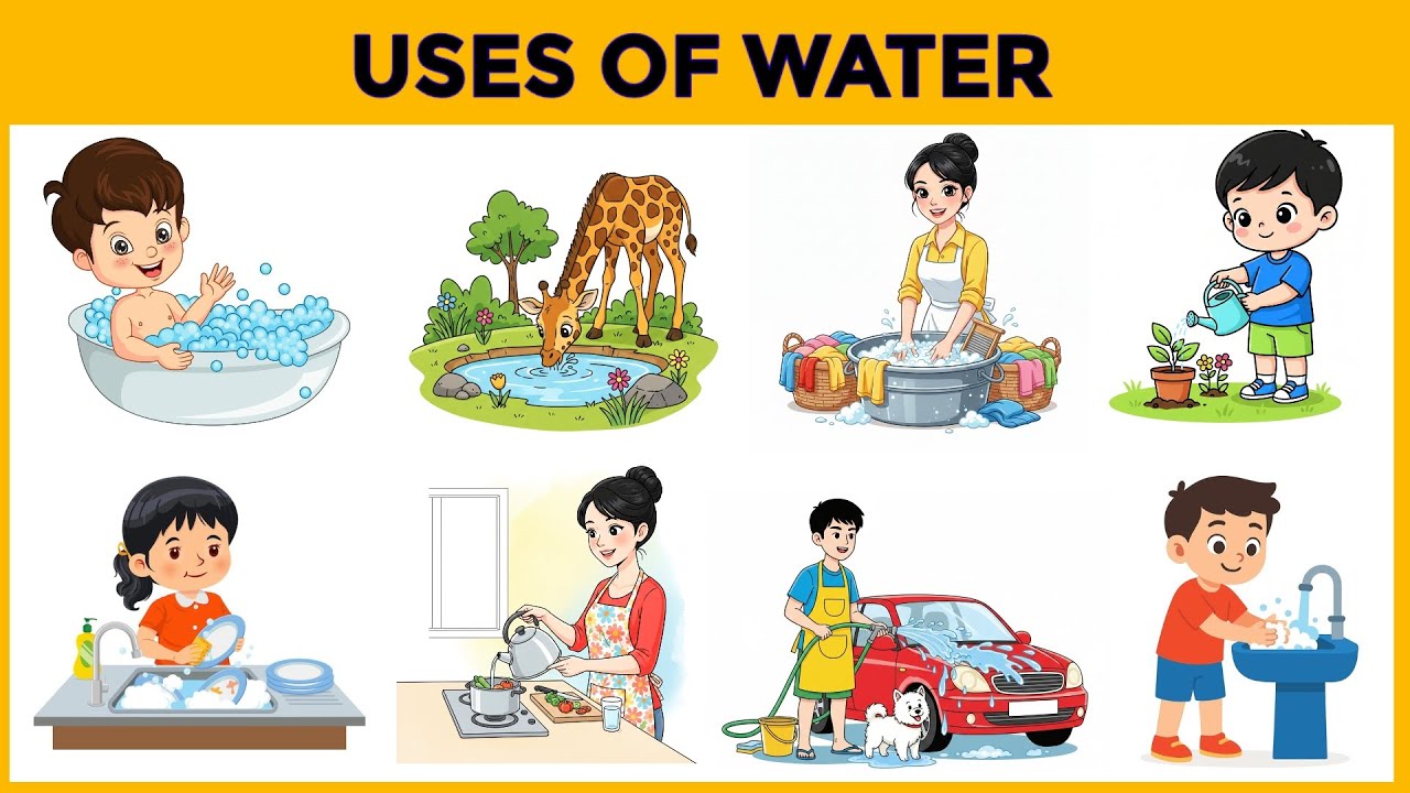 Using Water Example Uses of water | Importance of water | Water and it's uses | Uses of ...