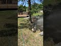 Playing duck games! Rainbows!