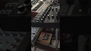 Crazy Wind My / Dark Energy - Ritm2 - Dominion1 #electronicmusic #music #analogsynth #techno #akai